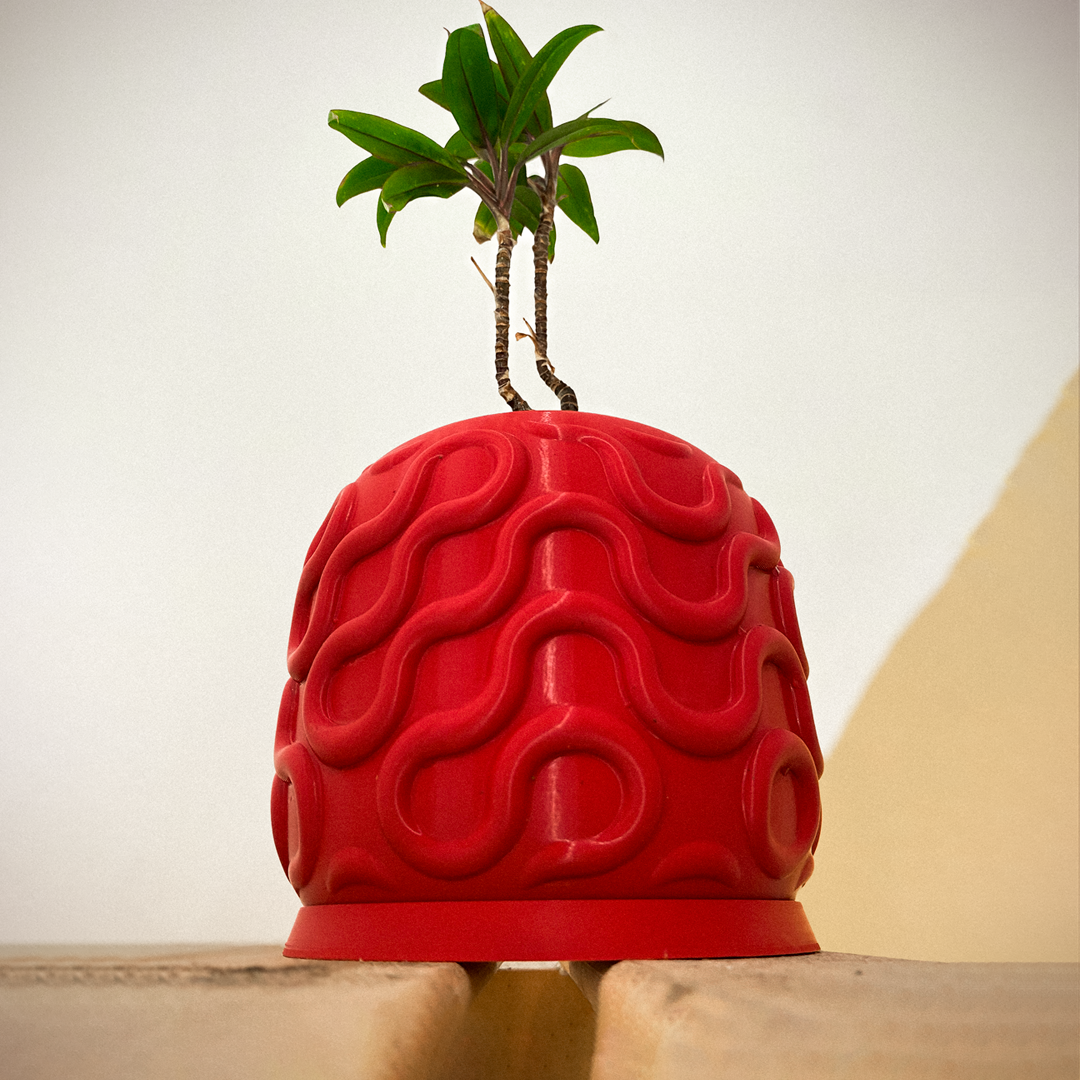 SEAMLESS PLANTER 5 1080
